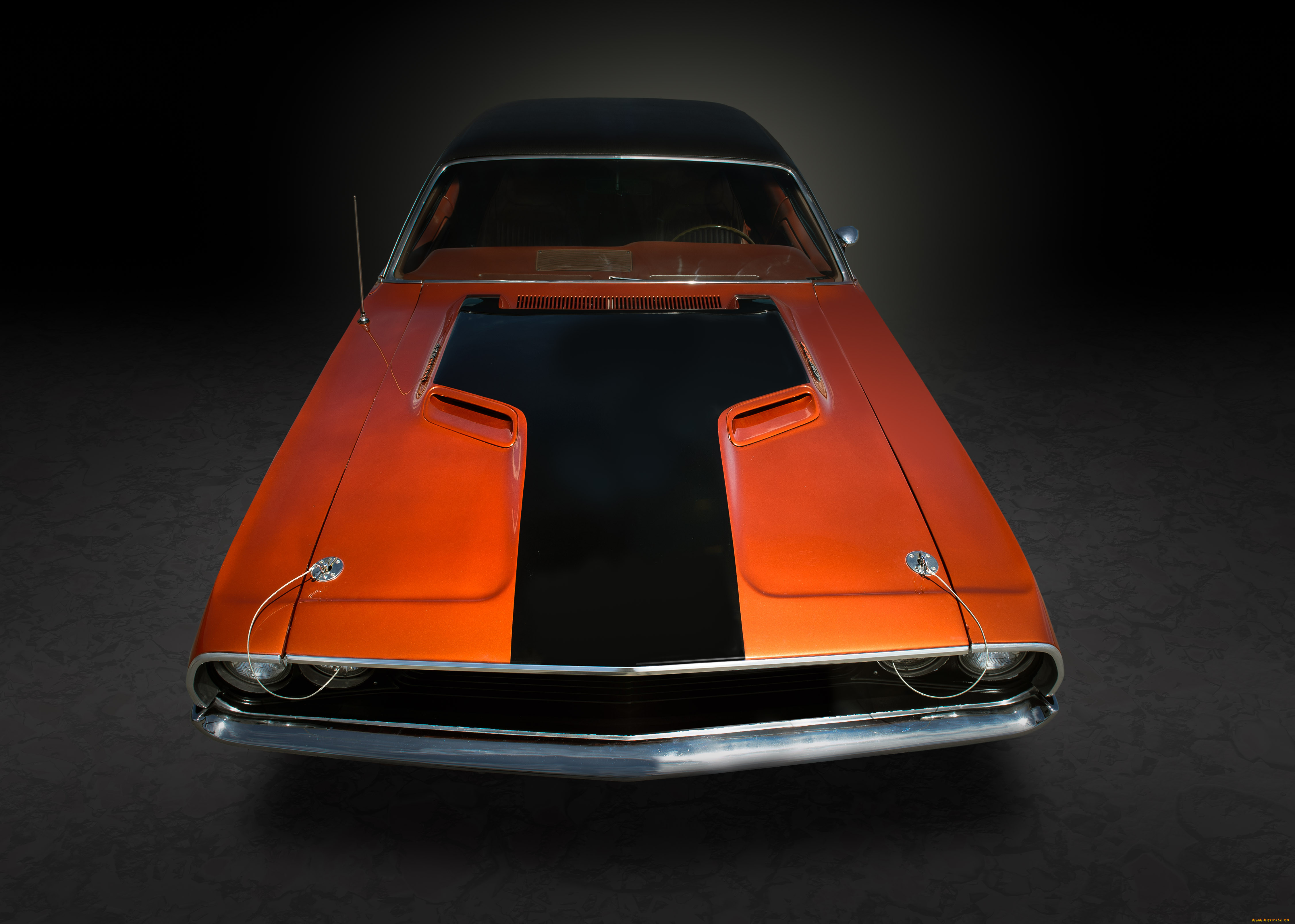 , dodge
